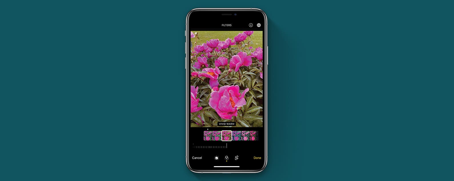 Edit Pictures On IPhone: How To Compare Edited Photos To Originals