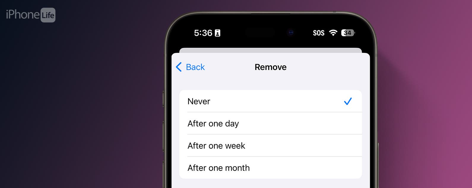 set-how-long-emails-stay-in-trash-on-iphone