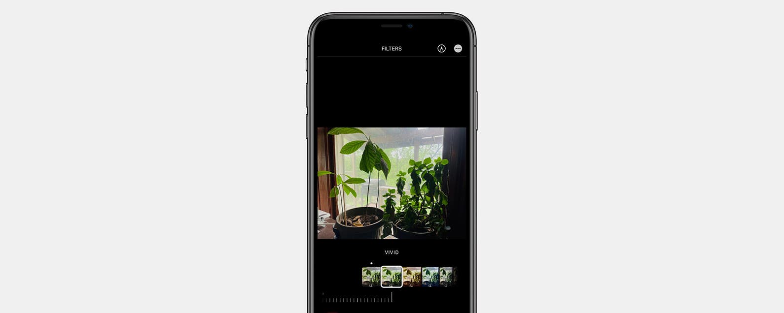 how-to-add-filters-to-live-photos-on-iphone-2023-update