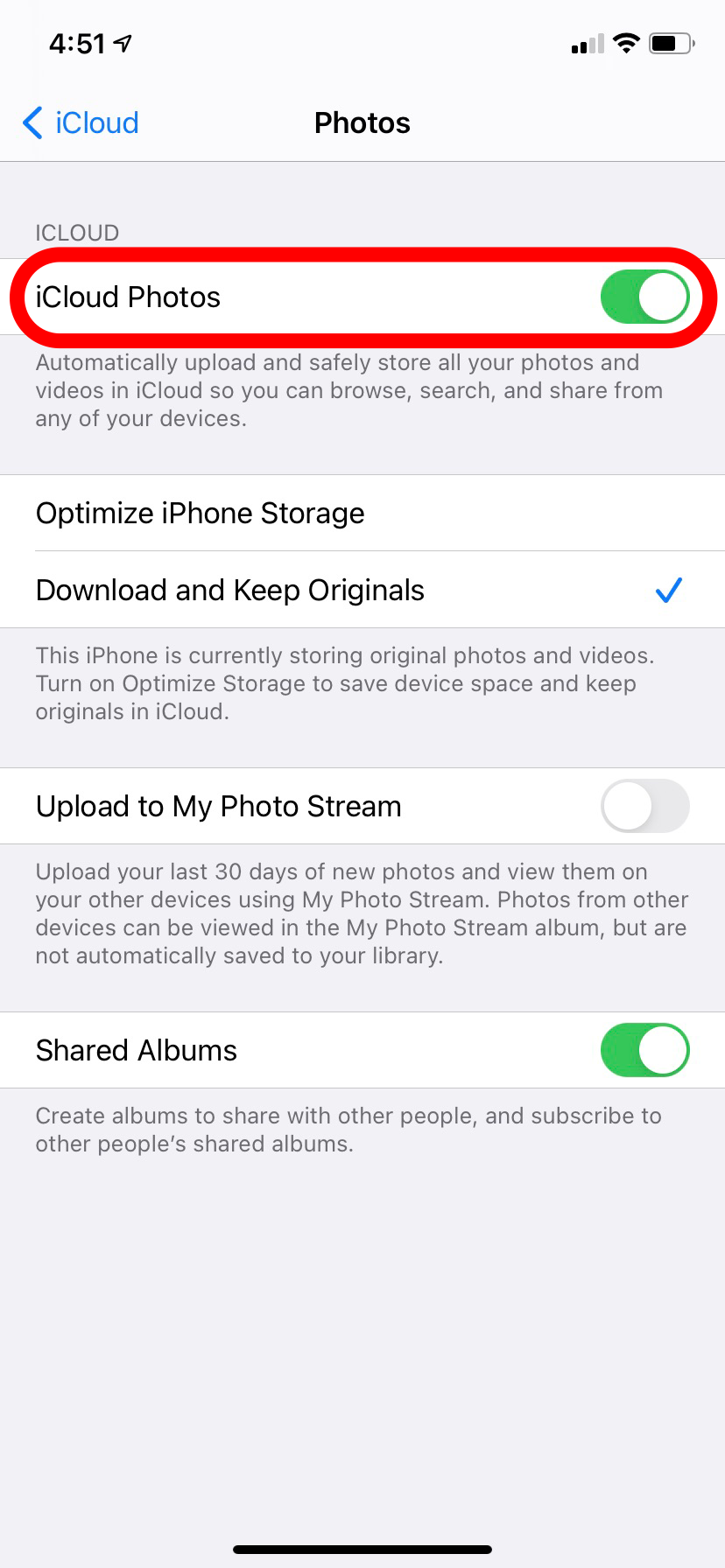 download particular video from icloud