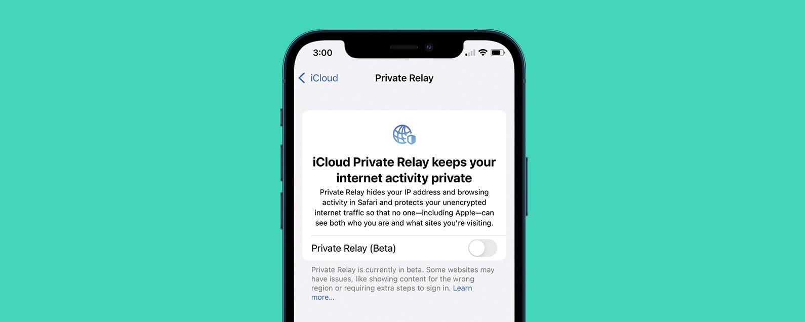 How Does Safari Private Relay Work