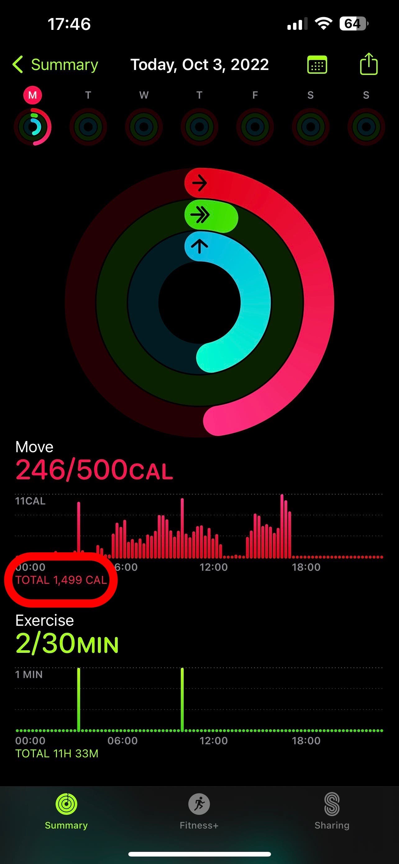 Can i see total 2025 calories on apple watch