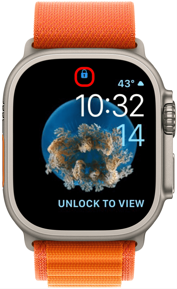 blue lock icon on Apple Watch