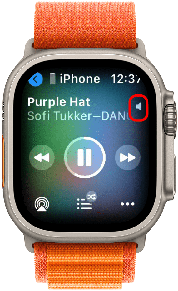 apple watch volume icon