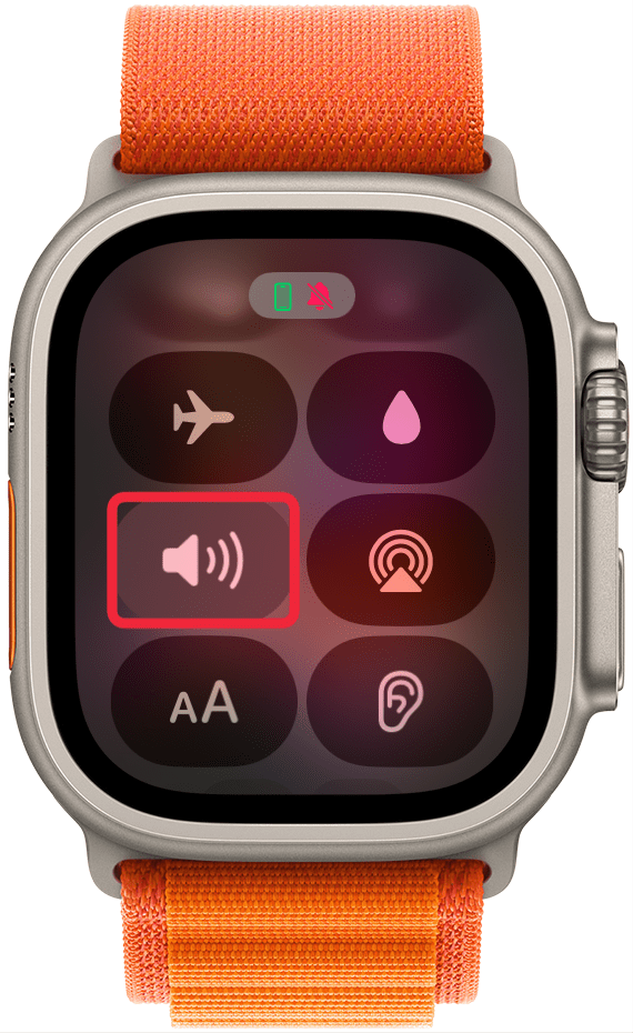 Volume Control Icon on Apple Watch