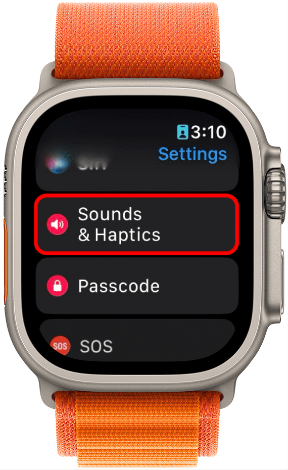 apple watch setting with sounds and haptics circled in red