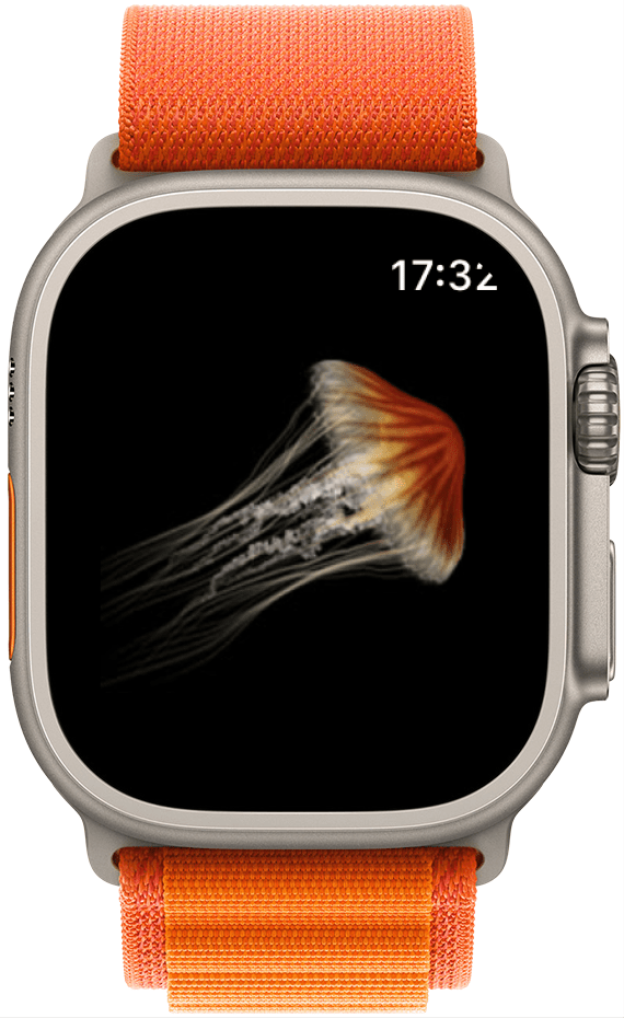 Jellyfish Tap game on Apple Watch