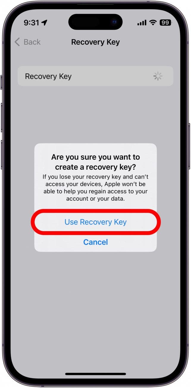 Tap Use Recovery Key.