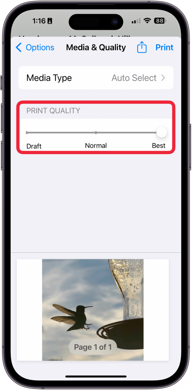 choose print quality