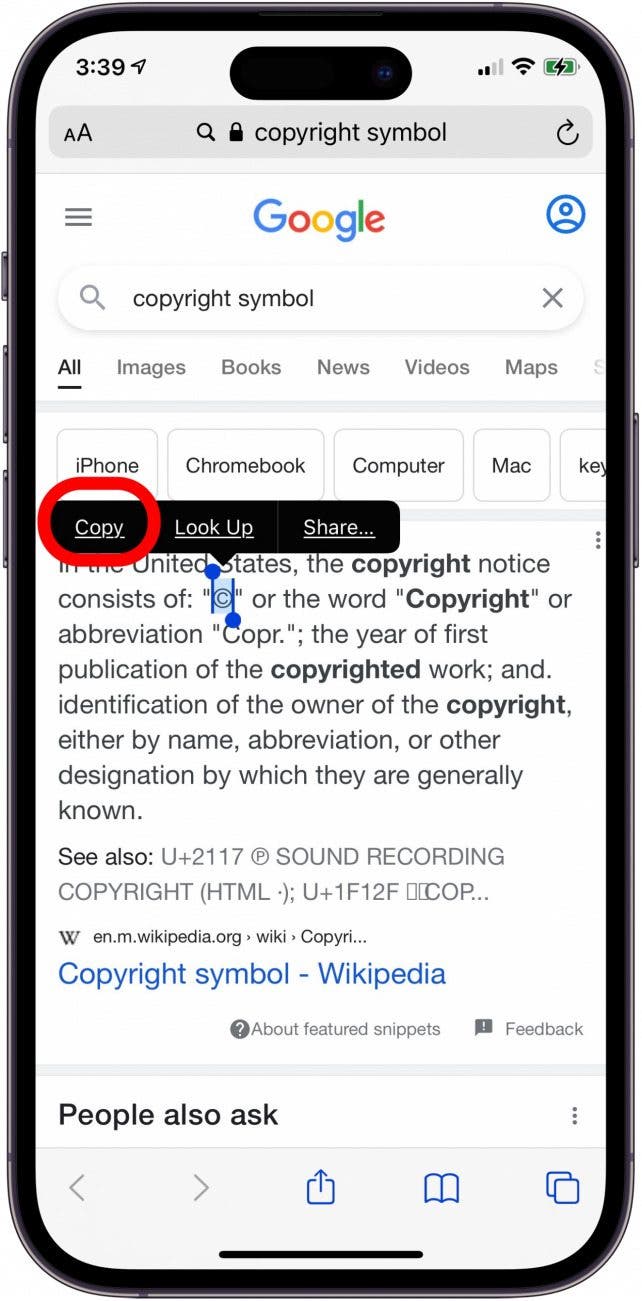 copy the copyright symbol