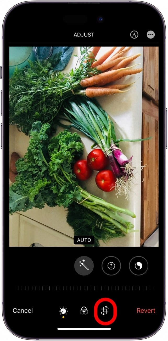 How to Rotate Images on iPhone & Android