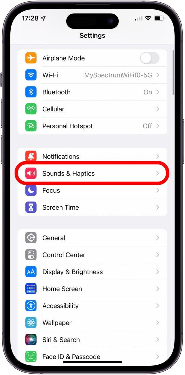 Select Sounds & Haptics. 