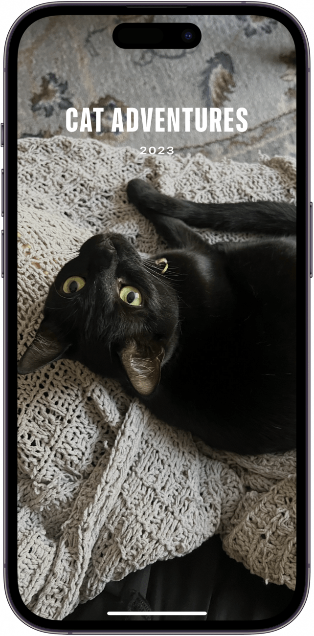 iphone photos memory video displaying a full screen photo of a black cat with a title, "Cat Adventures" and a subtitle, "2023"