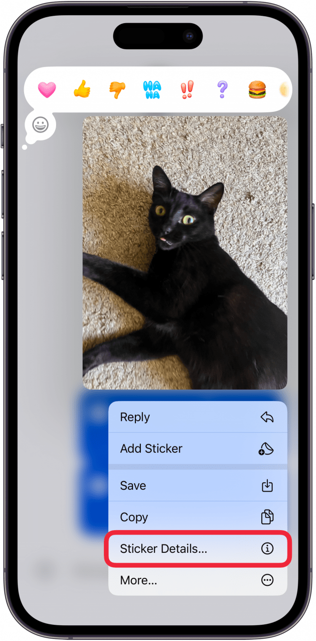 iphone messages app displaying a menu with a red box around sticker details