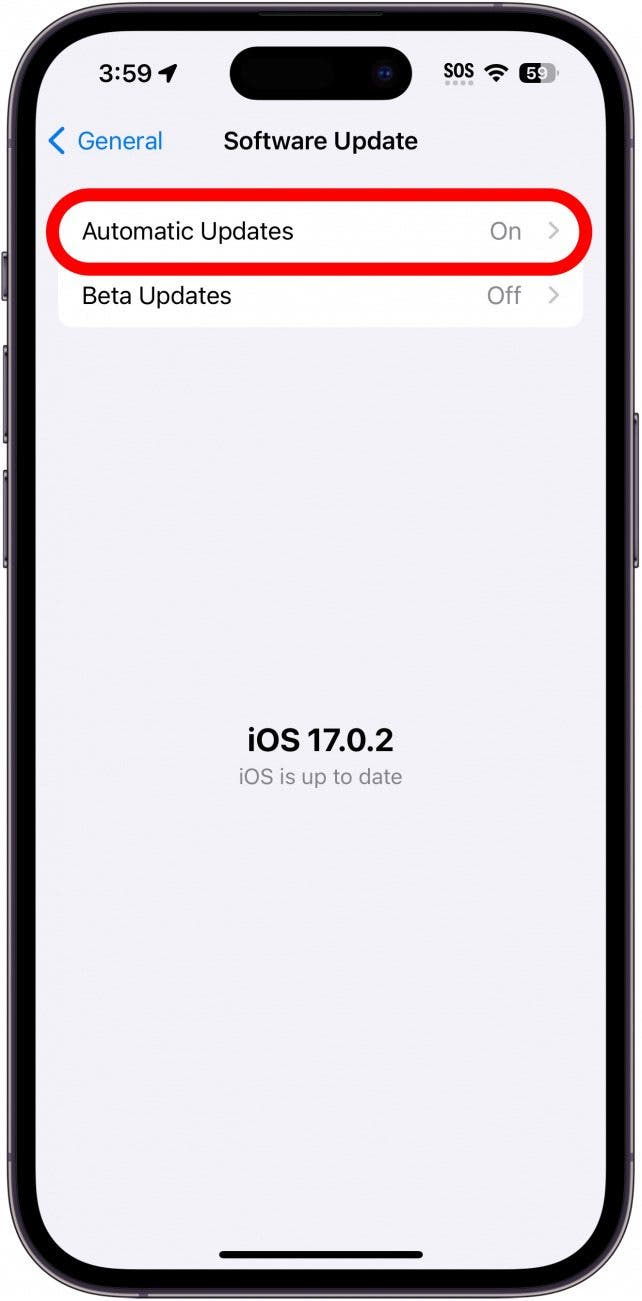 iphone software update screen with automatic updates circled in red