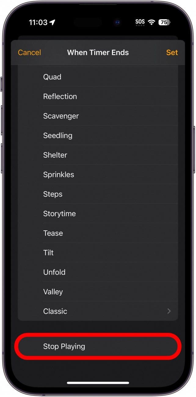 iphone timer settings with stop playing circled in red