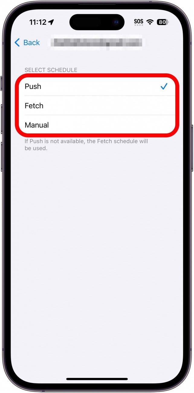 iphone fetch settings for a specific account with the following options circled in red: push, fetch, and manual