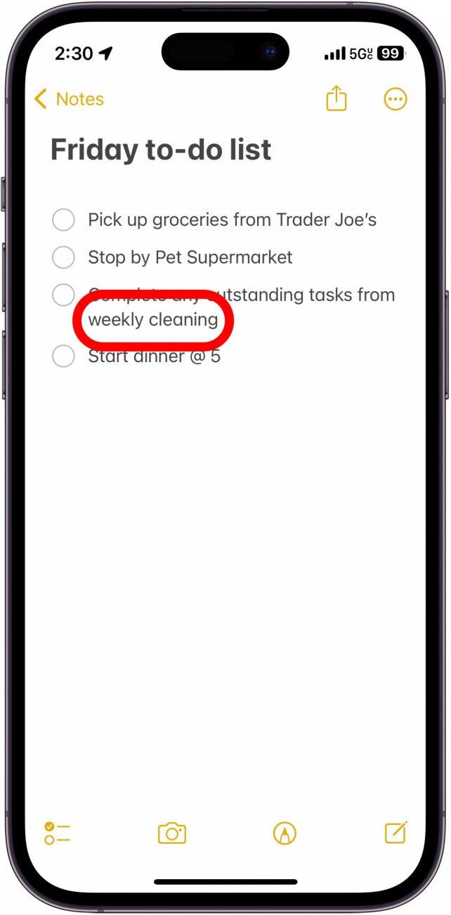 iphone note with "weekly cleaning" text circled in red