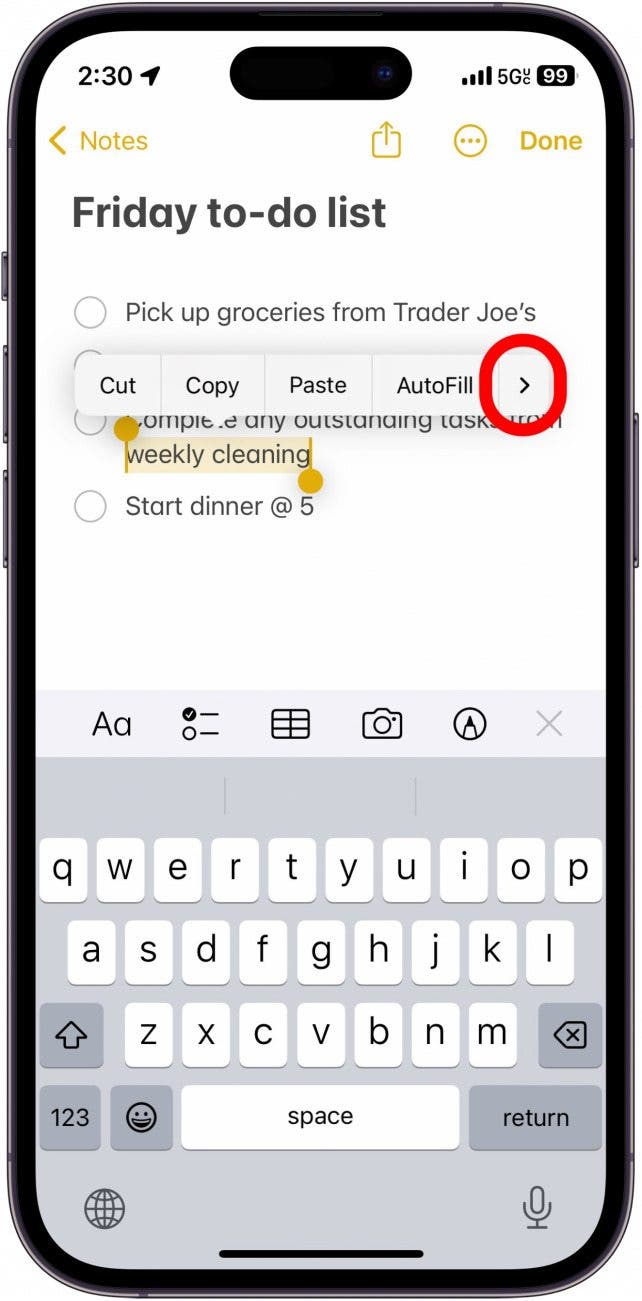 iphone note with text selected displaying menu with red circle around right facing arrow