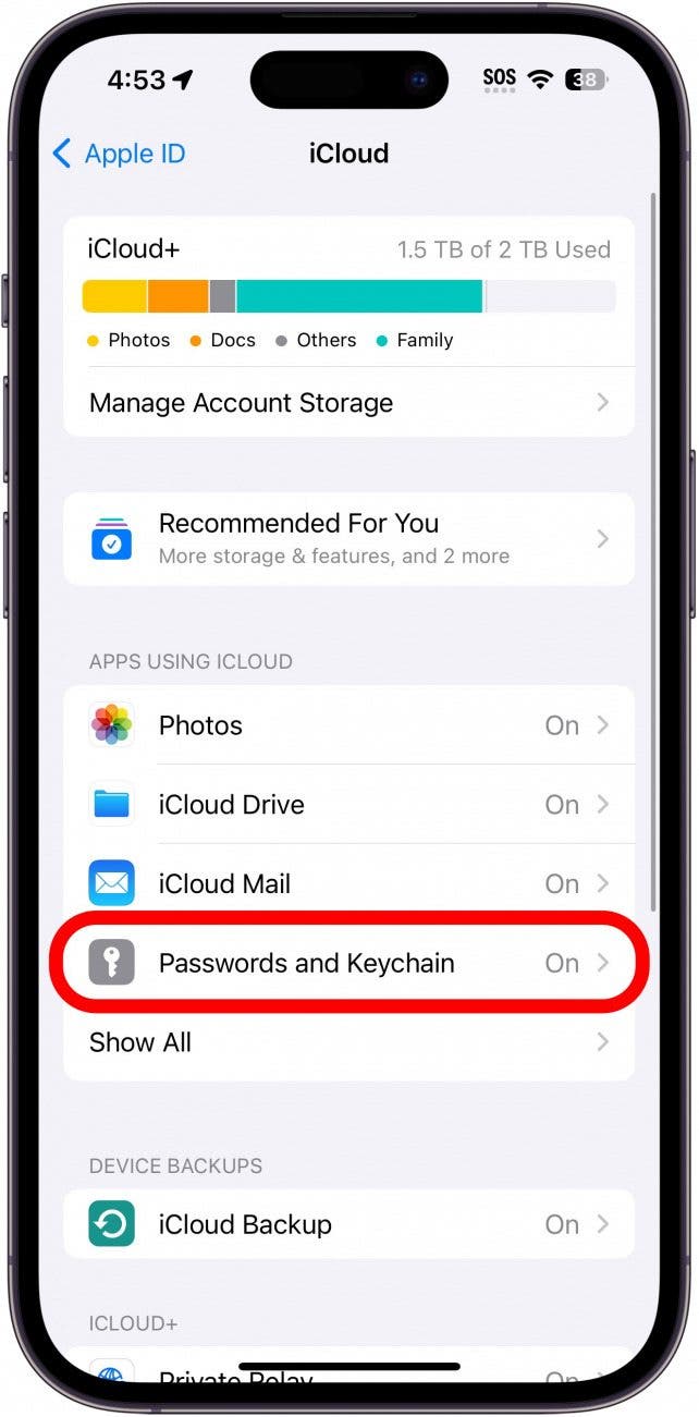 icloud settings with passwords and keychain circled in red