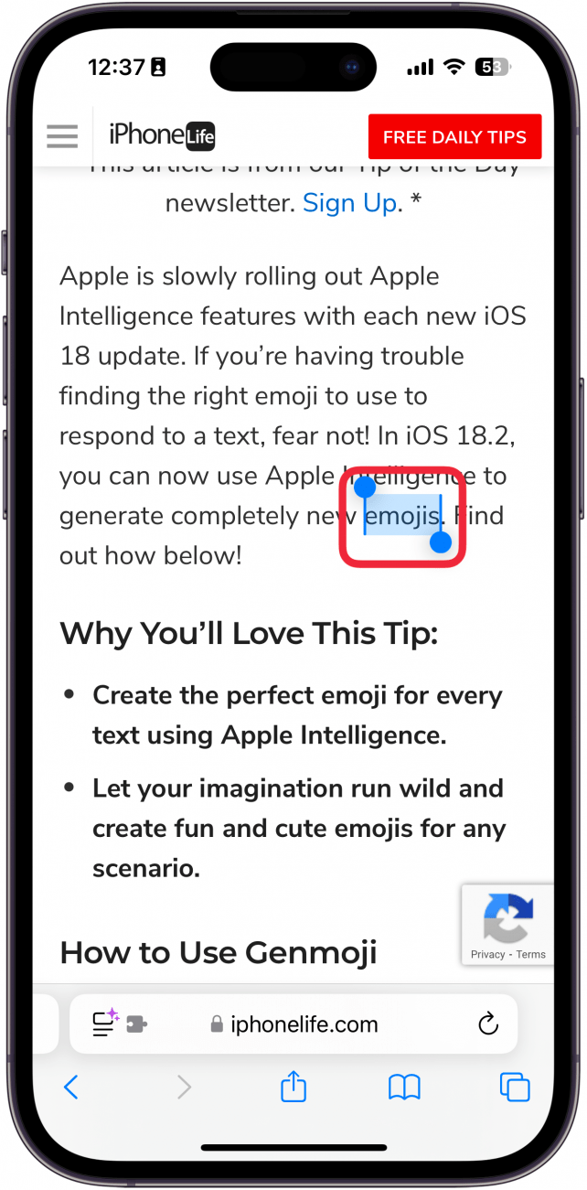 iphone safari displaying a webpage and the word emojis highlighted in blue, with a red box around the highlighted word