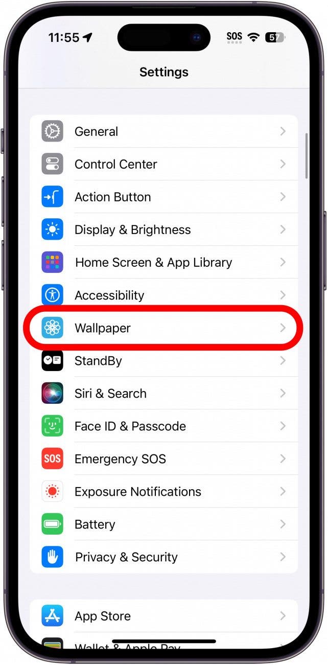 iphone settings with wallpaper circled in red