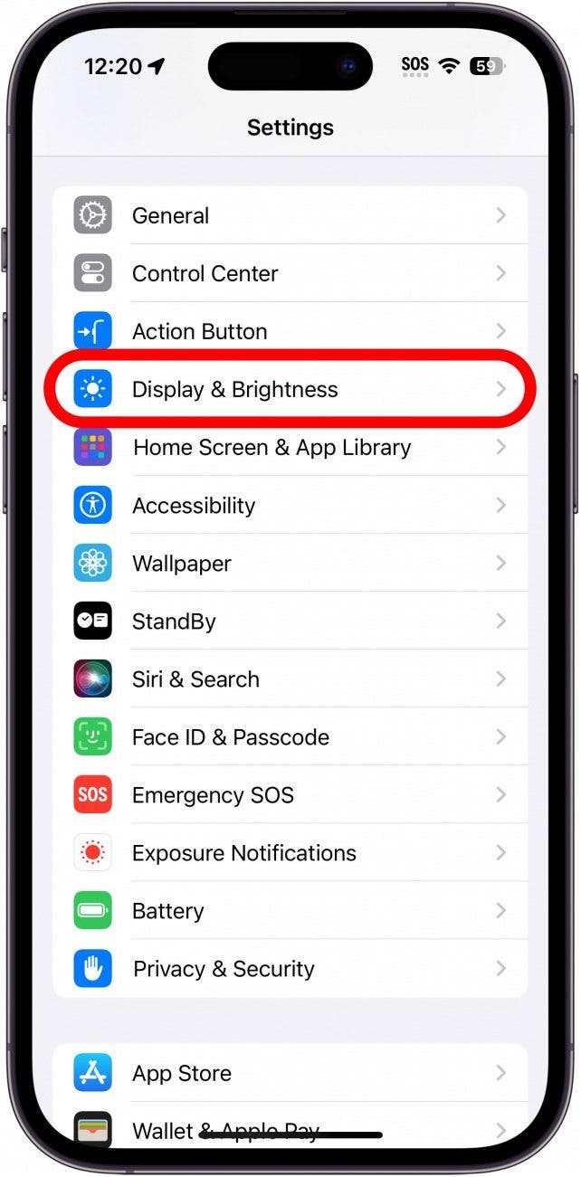 iphone settings with display and brightness circled in red