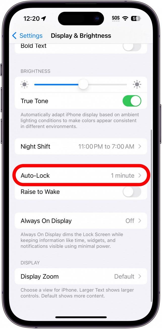 iphone display and brightness settings with auto lock circled in red