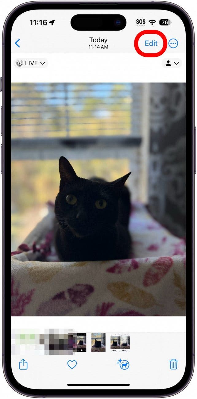 iphone photos app with edit button circled in red