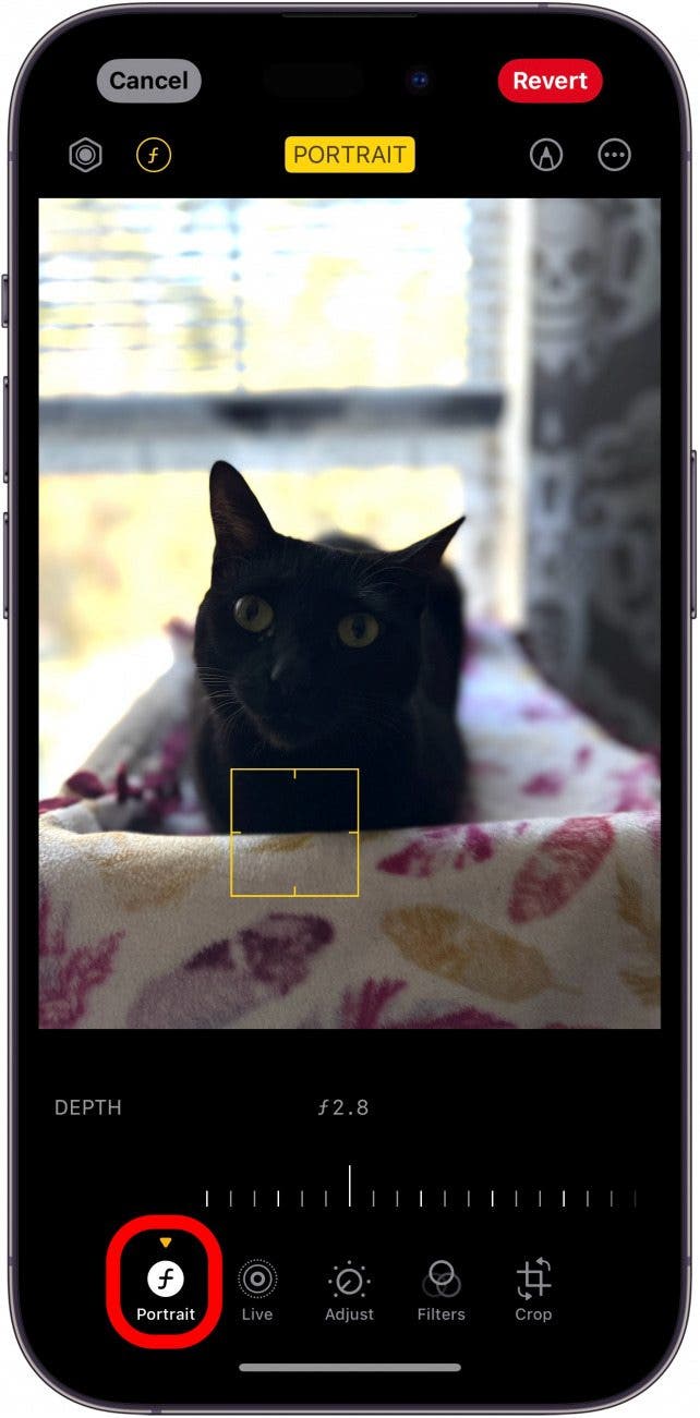 iphone photo editor with portrait mode icon circled in red