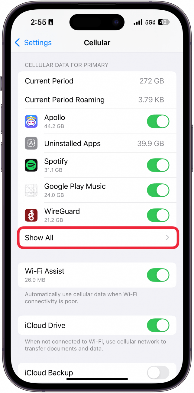 iphone cellular settings with a red box around show all