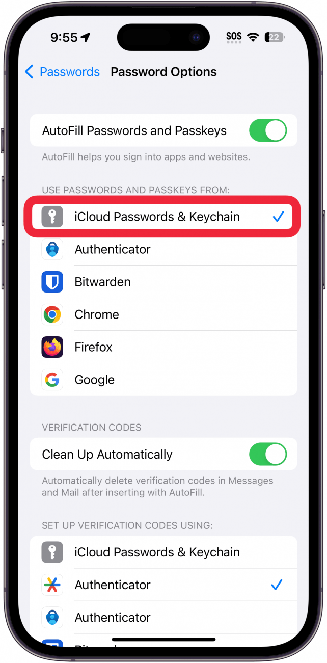 iphone password options with iCloud Passwords & Keychain toggle circled in red