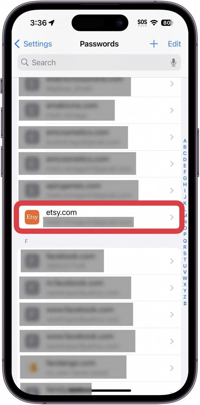 iphone passwords with etsy account circled in red