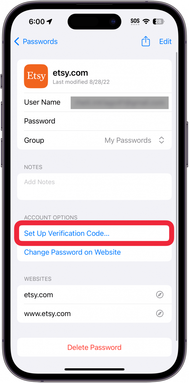 iphone passwords screen displaying etsy account information with set up verification code button circled in red