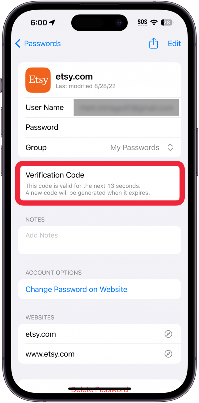 iphone passwords screen displaying etsy account information with a red box around verification code