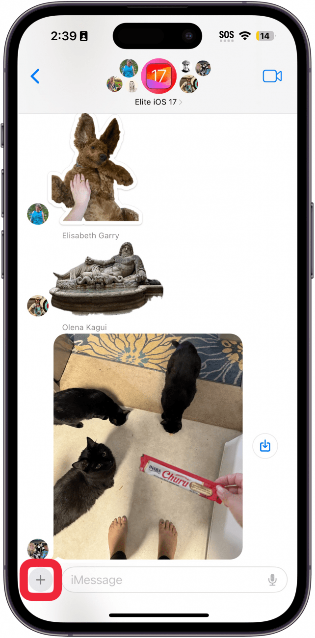 iphone messages with a red box around plus icon