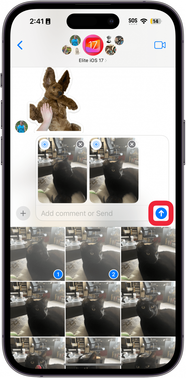 iphone messages app showing two attached photos with a red box around the send button
