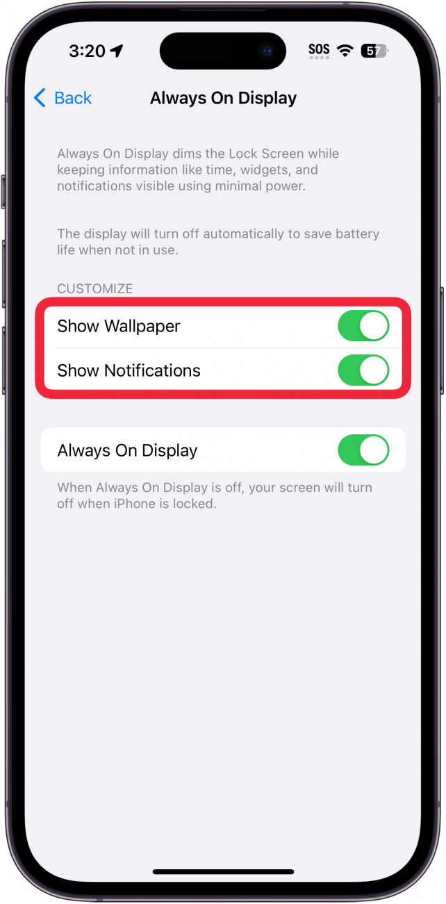 iphone always on display settings with a red box around show wallpaper and show notifications toggles