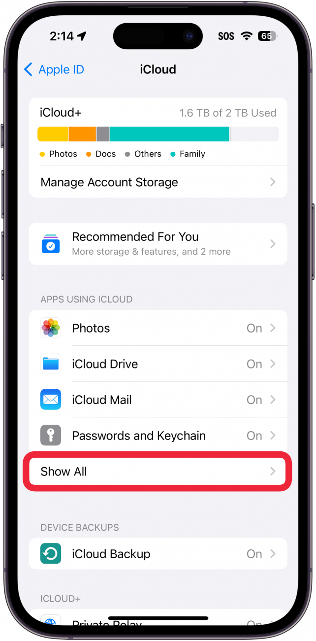 iphone icloud settings with a red box around show all button