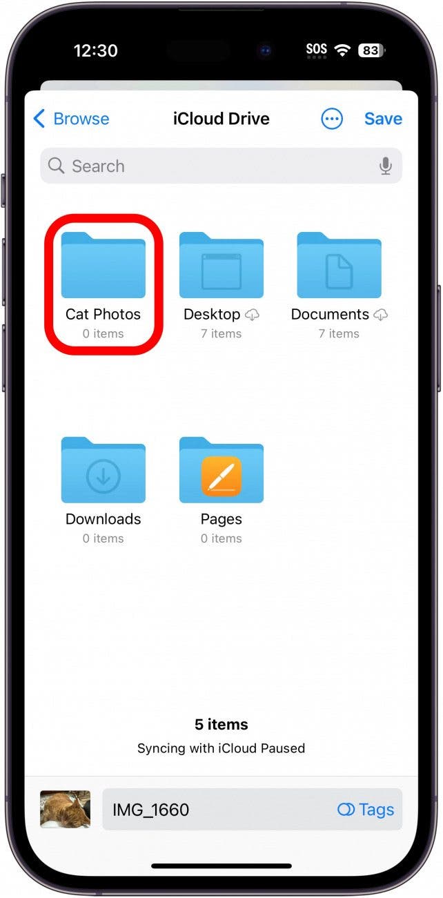 Tap an existing folder to save an item there.