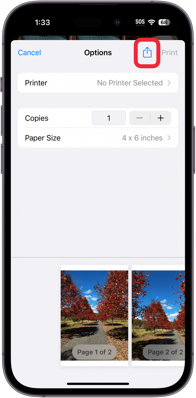 Tap the Share icon from the Print options screen.