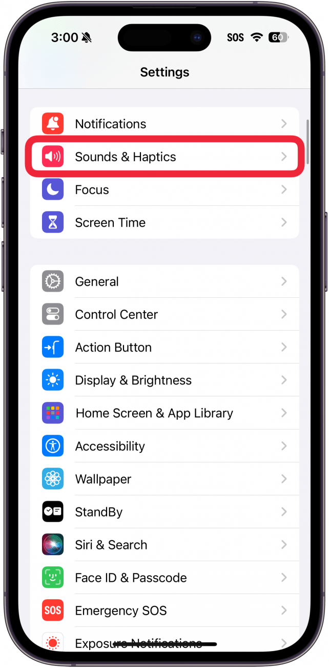 iphone settings with a red box around sounds & haptics