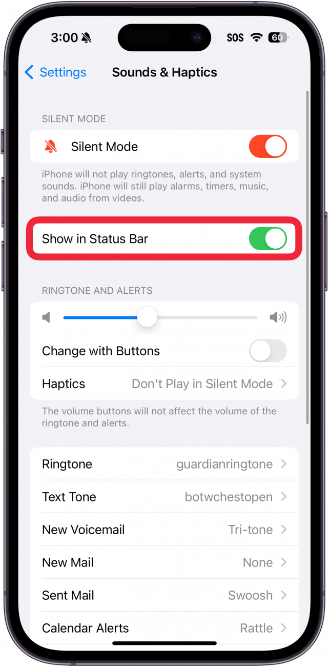 iphone sounds and haptics settings with a red box around show in status bar toggle