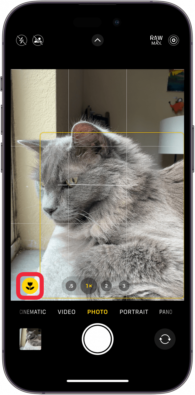 iphone camera app displaying a yellow flower icon with a red box around it