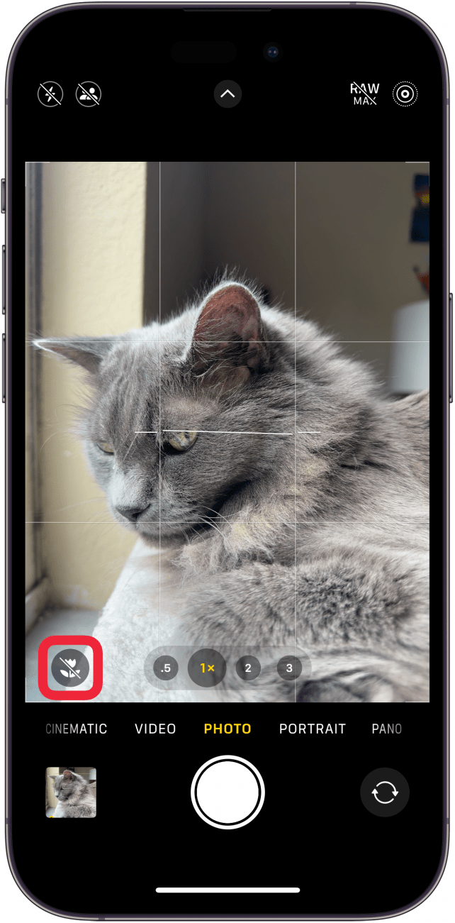 iphone camera app displaying a gray flower icon with a slash through it and a red box around it