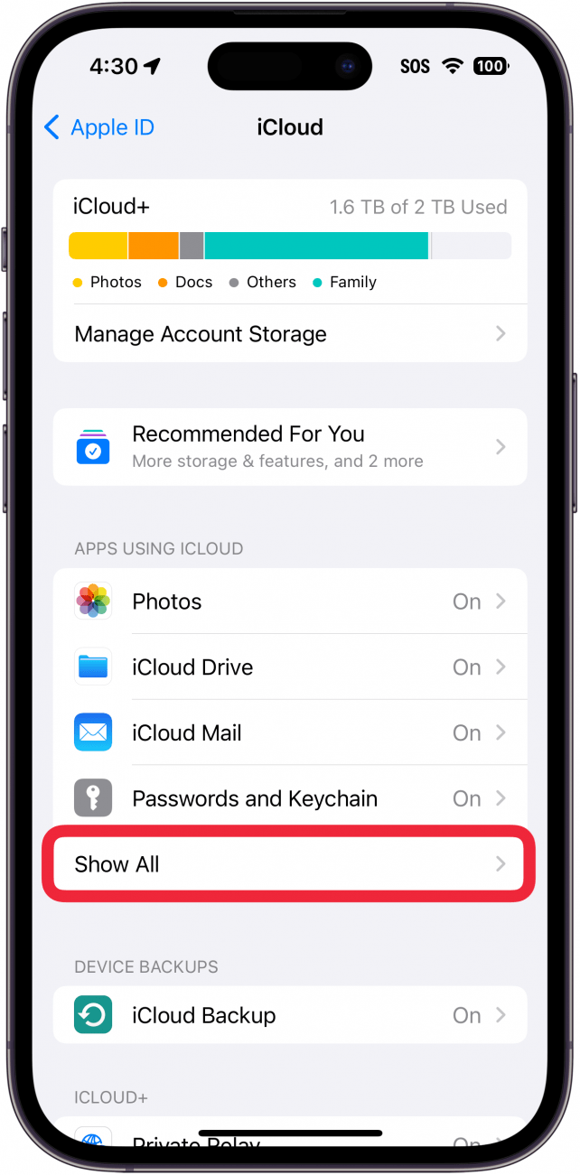 iphone icloud settings with a red box around show all button