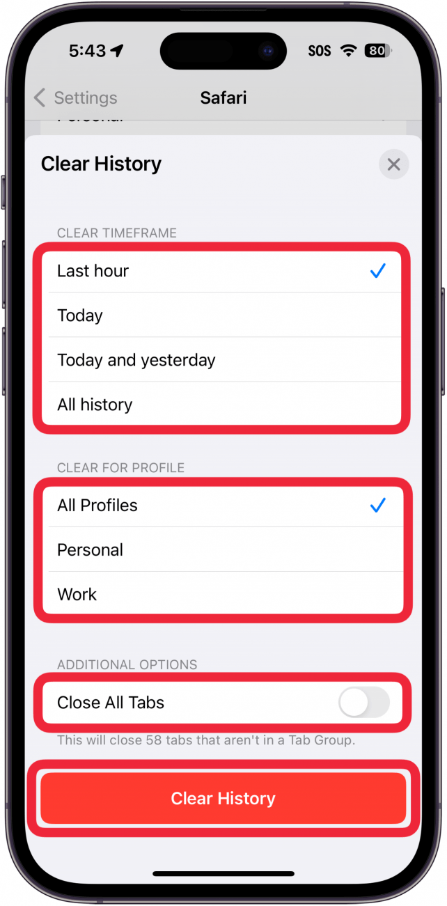 iphone safari clear website history and data screen with red boxes around timeframe, profiles, additional options, and clear history button