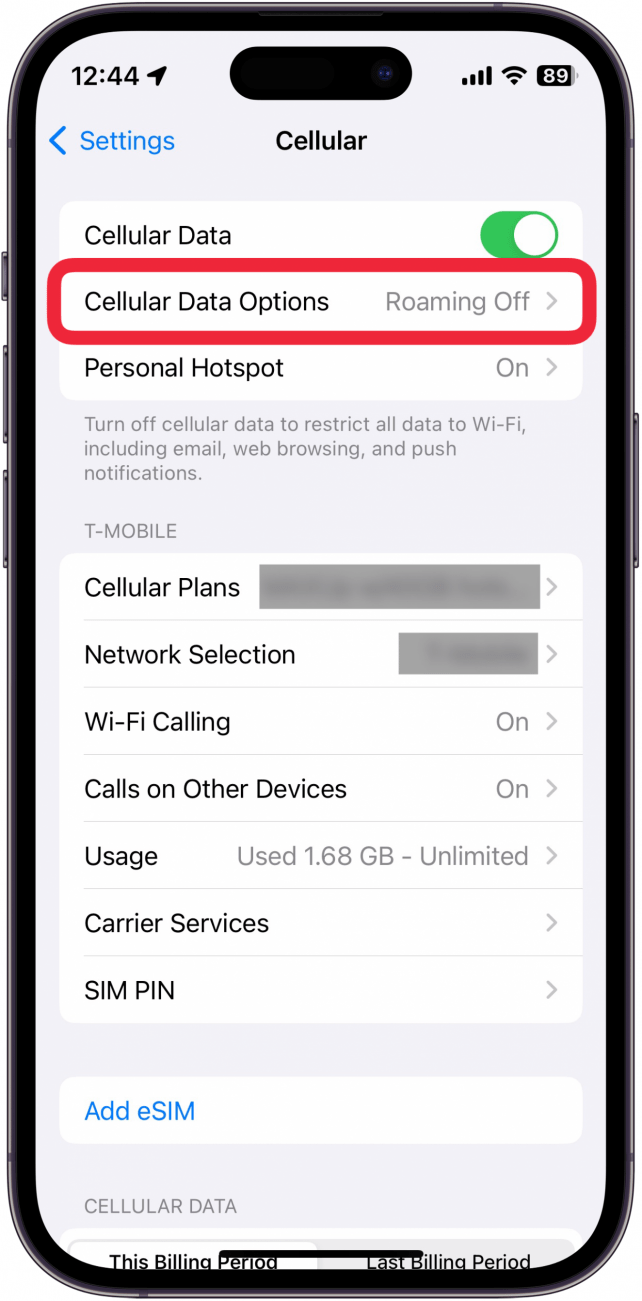 iphone cellular settings with a red box around cellular data options