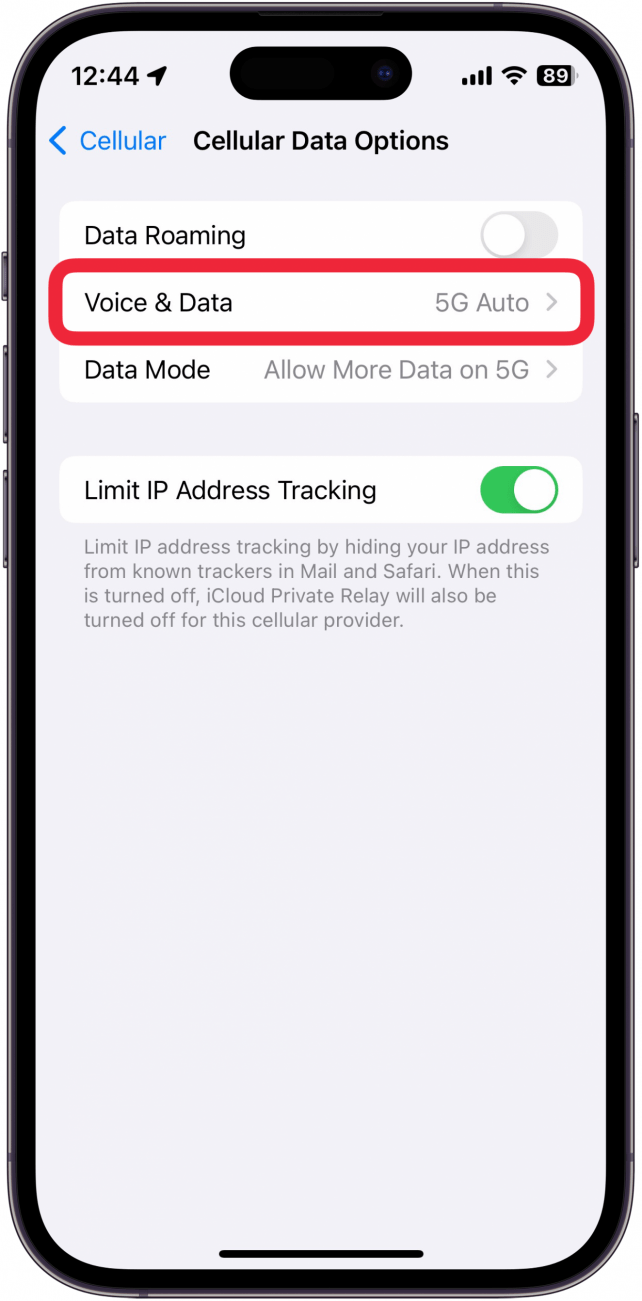 iphone cellular data options menu with a red box around voice & data