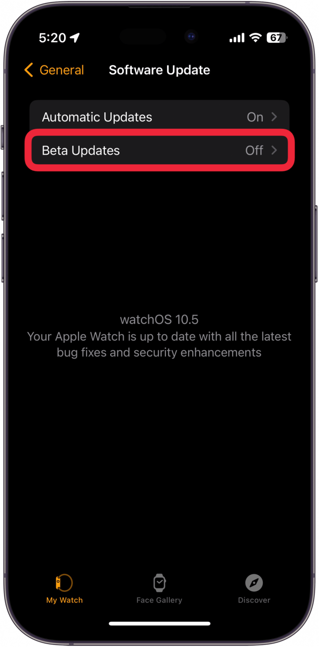 iphone watch app software update screen with a red box around beta software